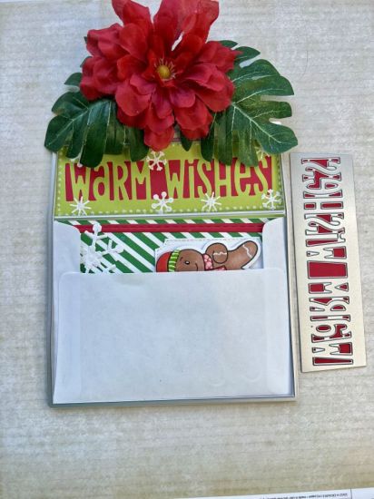 Envelope with Liner
