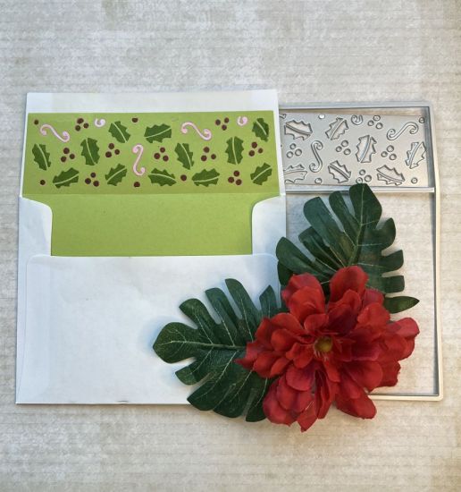 Envelope with Liner
