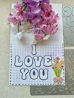 IMG_1122.jpeg