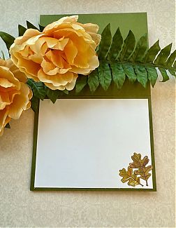 IMG_2123.jpeg