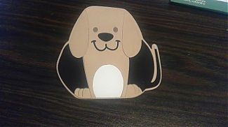 Cassie_Fold-it_RESIZED.jpg
