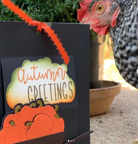 Keywords: pocket slider autumn greetings pumpkin wheelbarrow