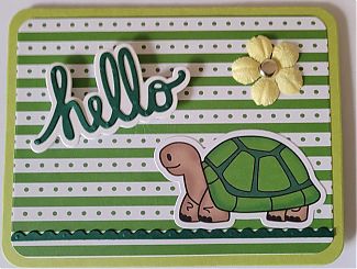 turtle~0.jpg