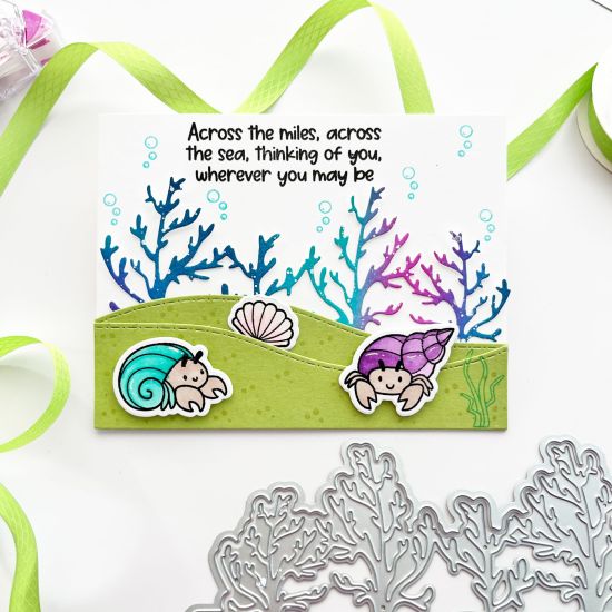 Keywords: Coral border