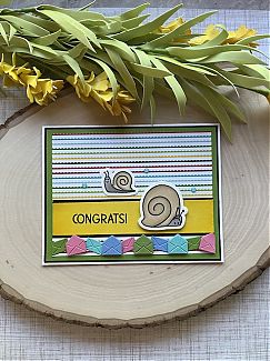 Snails3.JPG