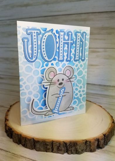 Baby Boy Mouse
