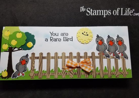 Crows on a fence
