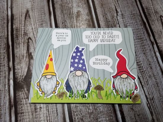 Gnomie Birthday
