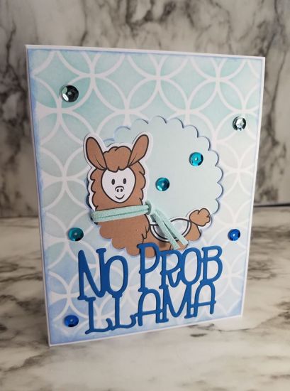 Llama Drama
