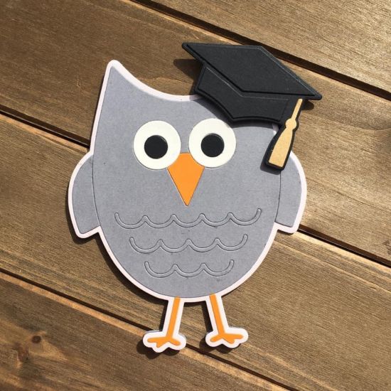 Graduation Card using the Owl Fold It
This cute owl card is ready for a graduate

