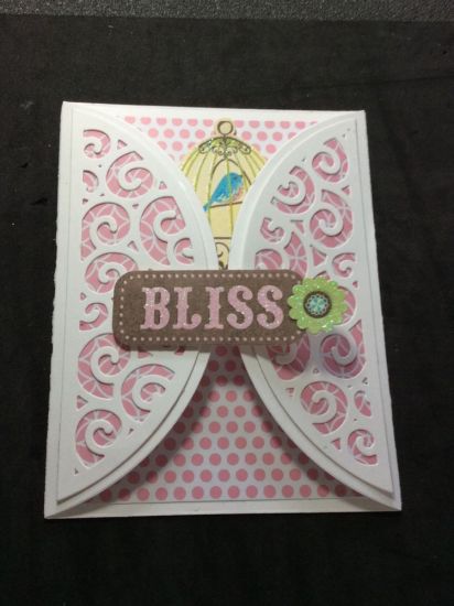 Bliss
Swirl birdcage
