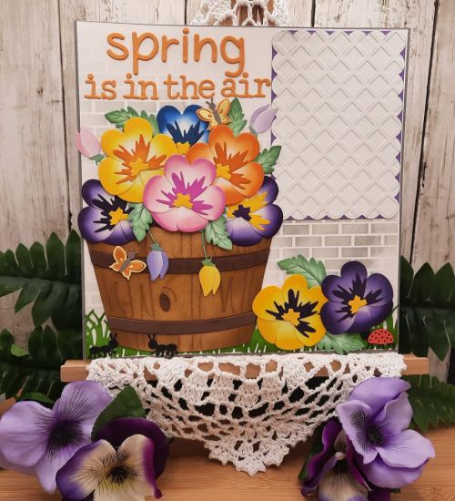 Pretty pansy class
Keywords: Pansy barrel fold it