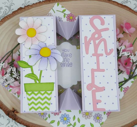 Smile panels dies
Keywords: Box smile flower pot