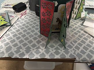 IMG_4339.jpeg