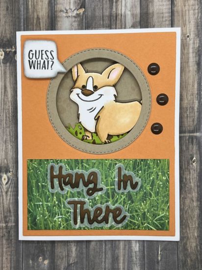 Corgi Butt
