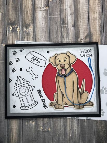Dog-gone Awesome!

