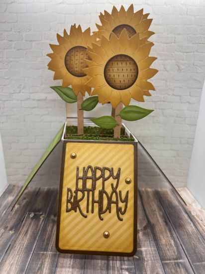 Oh beautiful Sunflower 
