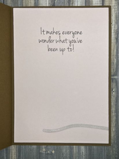 Keywords: Snail Fold-it, 5x7 Stripe Card Die Set