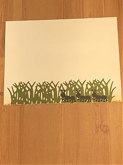 7E37E05E-6DA4-48E8-A618-25C265F0BD5E.jpeg