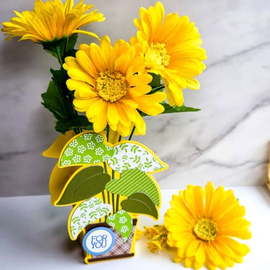 I used the box it die to create a "planter", fun way to give a gift
