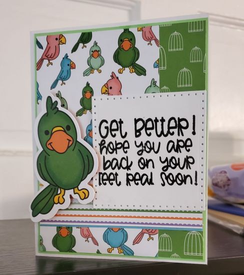GetWellBird
