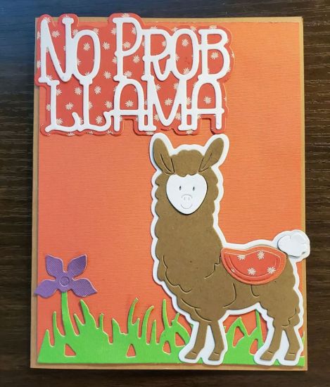 NoProbLlamaCard
