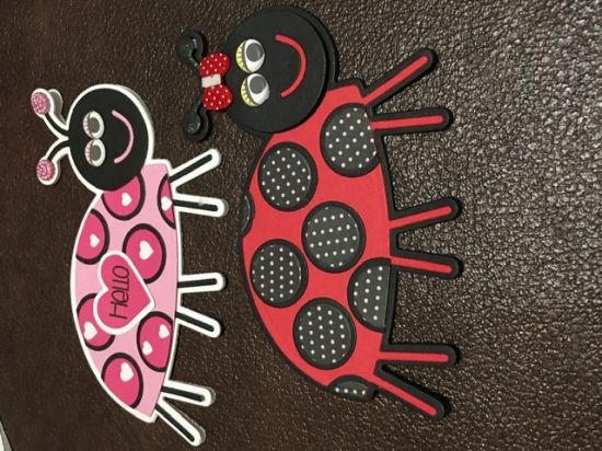 Ladybug 
