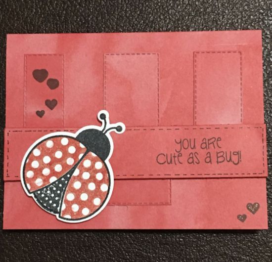 Ladybug 
Tone on tone 
