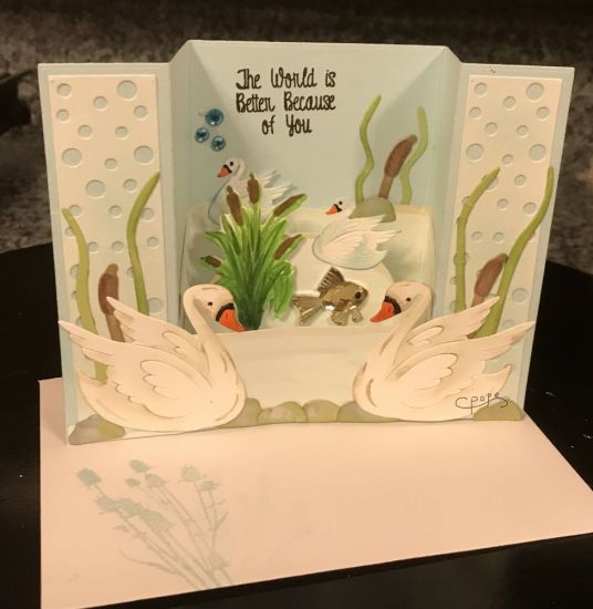 Swan Splendor Birthday
Keywords: Swan Splendor Class