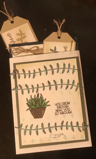 Plants are Friends
Keywords: Plants are friends class