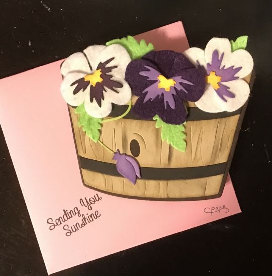 Pretty Pansy class
Keywords: Pretty Pansy class