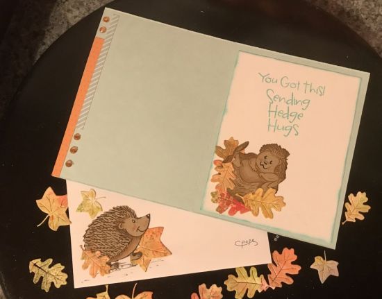 Inside thinking of you
Keywords: Hedgehog2stamp