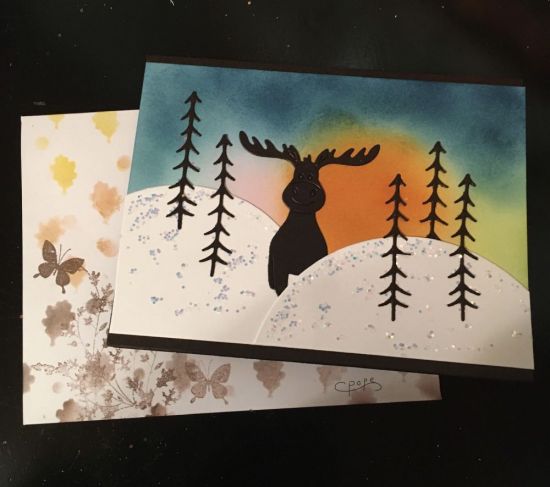  Northern lights
Keywords: Moose Mountain online class