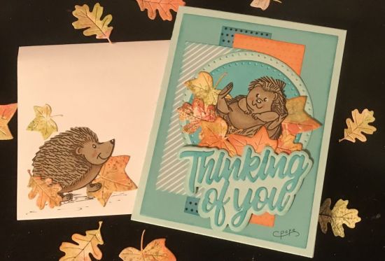 Thinking of you
Keywords: Hedgehog2stamp