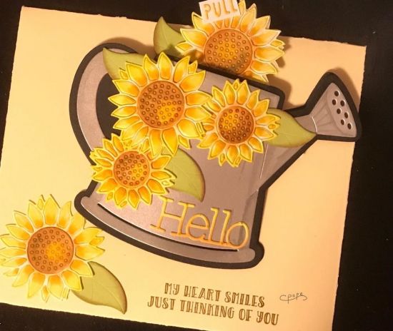 Hello
Keywords: Watering Can fold It
