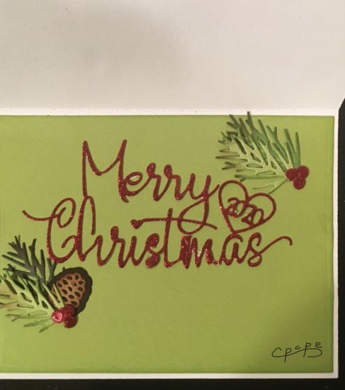 Inside of Merry Christmas
Merry Christmas limited addition
Pinecones2stamp stamp

