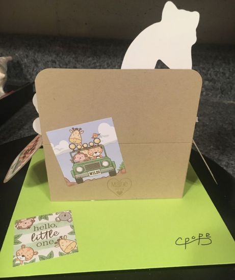 Backside of baby�s first birthday
Keywords: Box it die