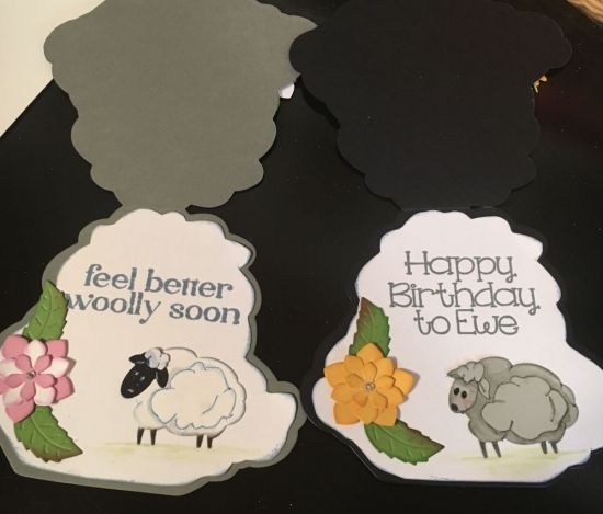 Inside of sheep
