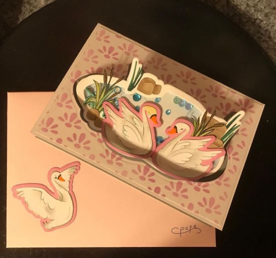 Swan Happy Birthday
Keywords: Swan Splendor Class