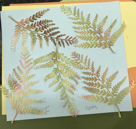 After ink blending cut the fern from the left over ink
Keywords: Fern Class