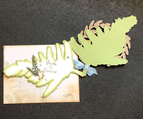 Inside of bonus card from class
Keywords: Fern Class