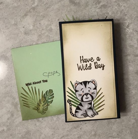 #3 backside Baby Jungle animals class
Keywords: Baby jungle Animals Class