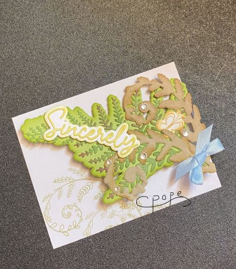 Second card Fern Class
Keywords: Fern Class