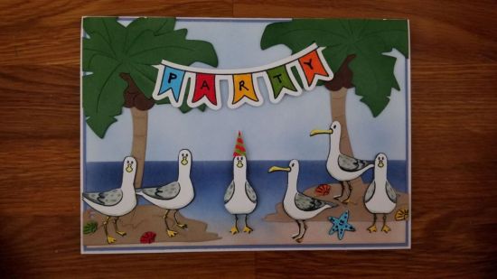 Seagull Party!
