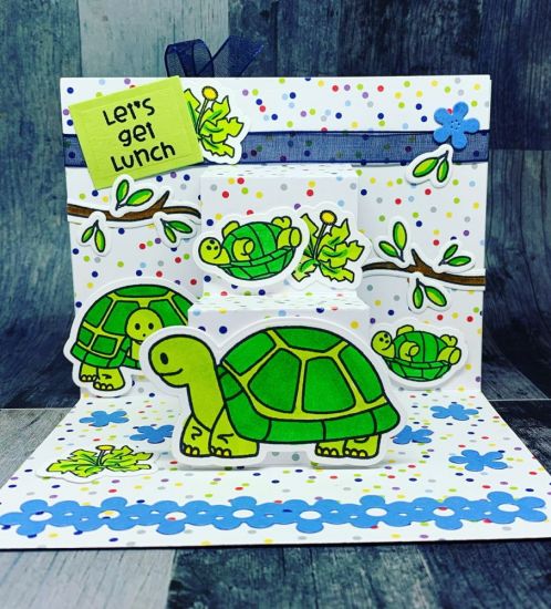 Center Step Up Card (HSN)
