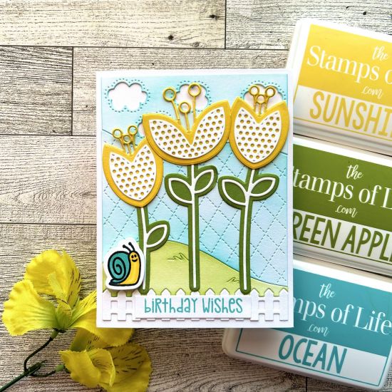 IMG_3567.jpeg