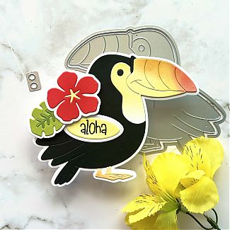 IMG_3765.jpeg