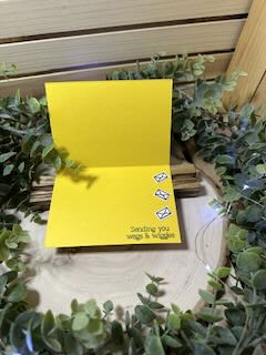 IMG_1007.jpeg