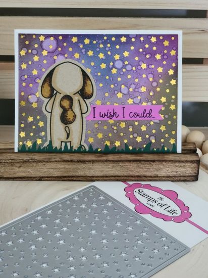 Keywords: stars, dog, wish