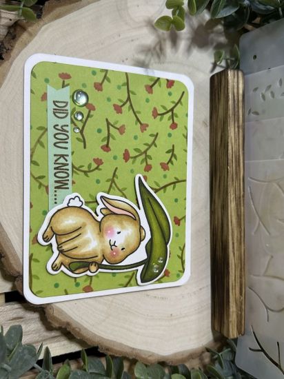 Keywords: Repair stencil flowers bunny
